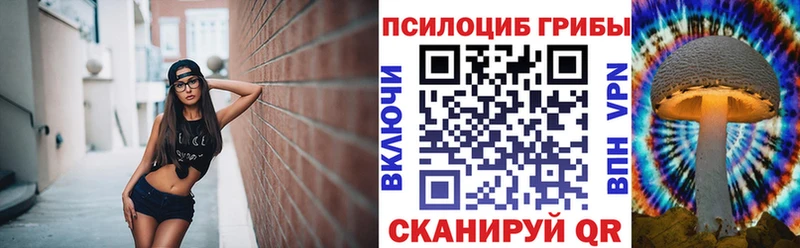 Купить где  Щёкино  Псилоцибиновые грибы Magic Shrooms 